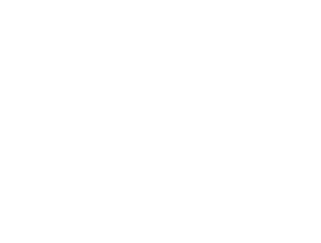 FRM LOGO2